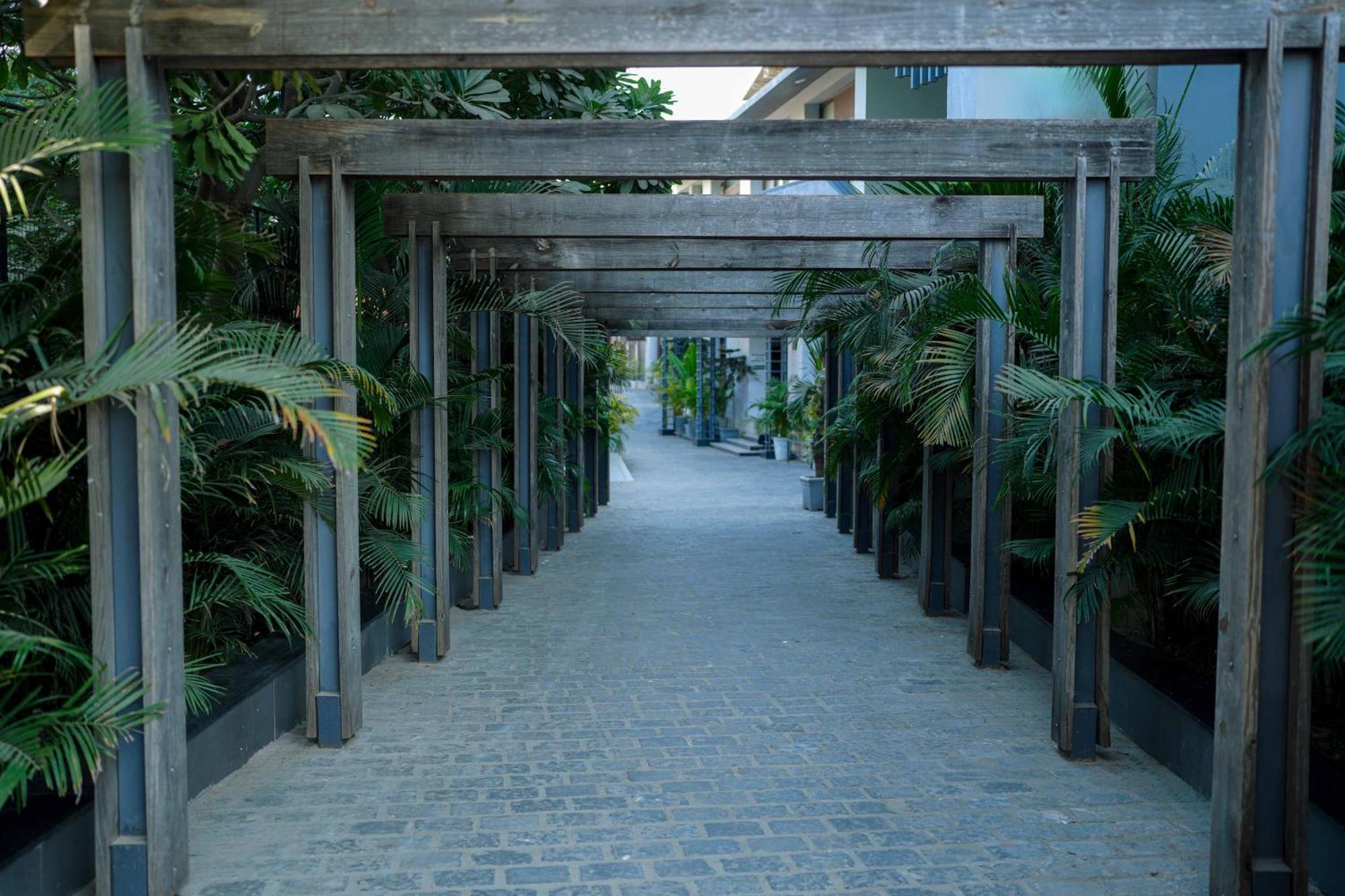 Medalio Resort Udaipur Shobhagpura Exterior photo